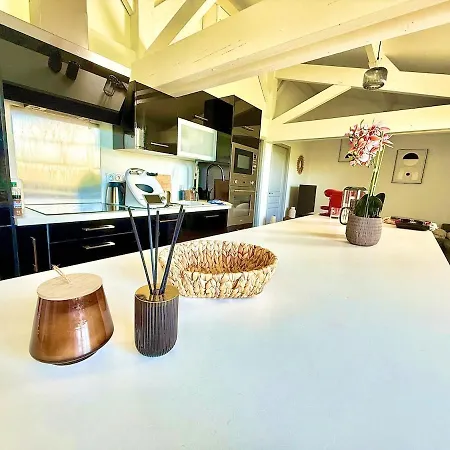Loft T3 Lumineux - Centre